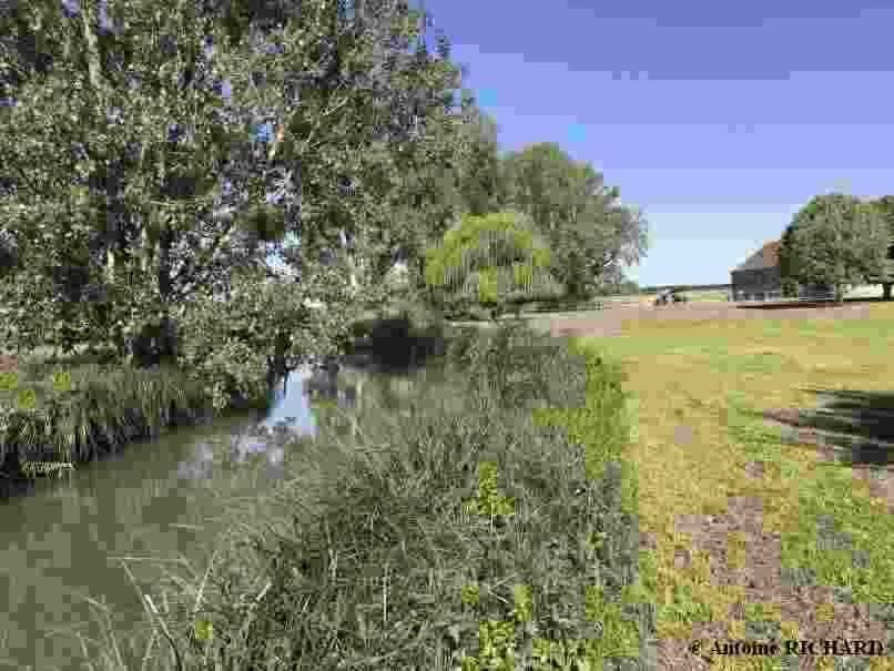 Manoir De Chandoiseau Les-Trois-Moutiers エクステリア 写真
