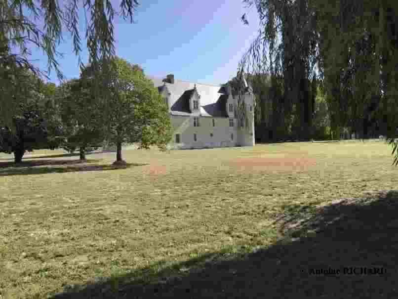 Manoir De Chandoiseau Les-Trois-Moutiers エクステリア 写真