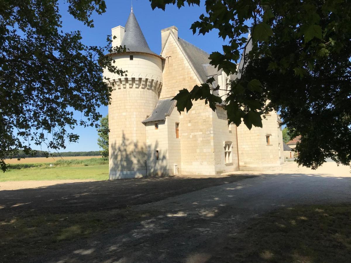 Manoir De Chandoiseau Les-Trois-Moutiers エクステリア 写真