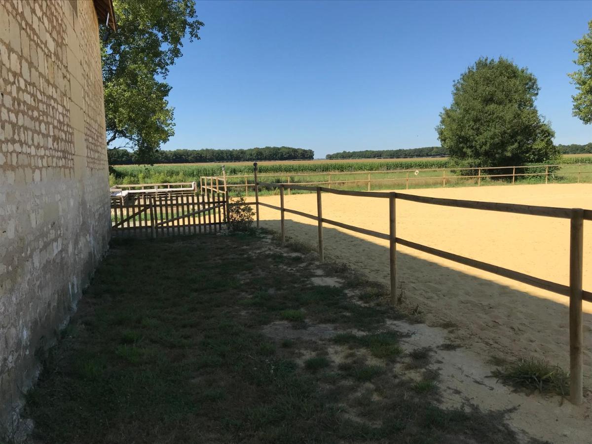 Manoir De Chandoiseau Les-Trois-Moutiers エクステリア 写真