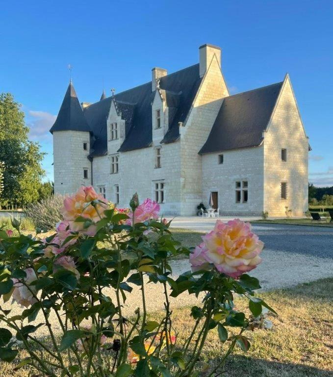 Manoir De Chandoiseau Les-Trois-Moutiers エクステリア 写真