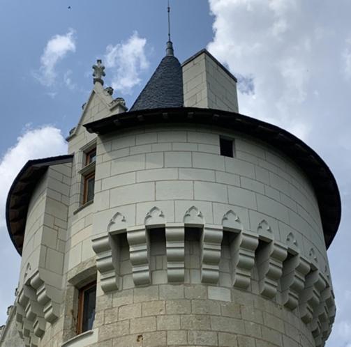 Manoir De Chandoiseau Les-Trois-Moutiers エクステリア 写真