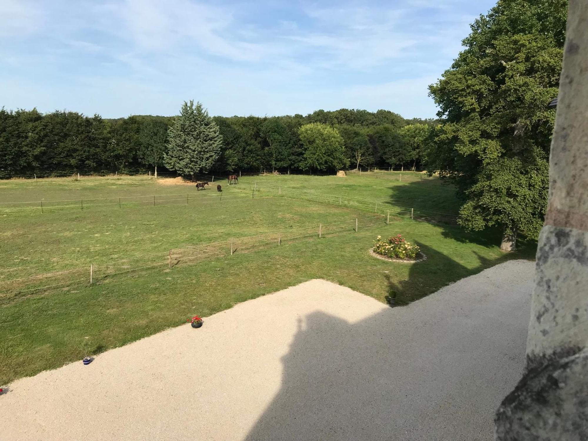 Manoir De Chandoiseau Les-Trois-Moutiers エクステリア 写真
