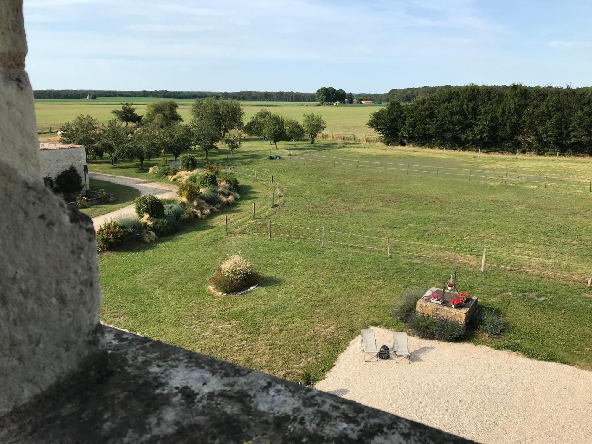 Manoir De Chandoiseau Les-Trois-Moutiers エクステリア 写真